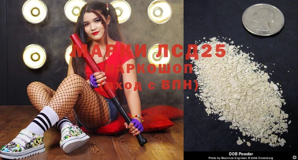 стаф Абинск