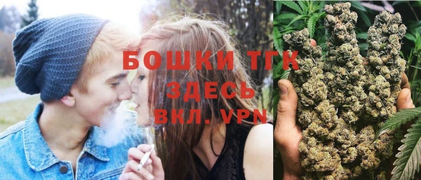 стаф Абинск