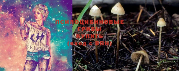 стаф Абинск
